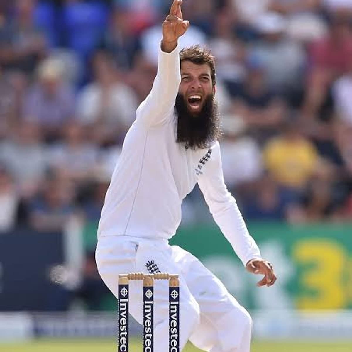 Moeen Ali — photograph 8